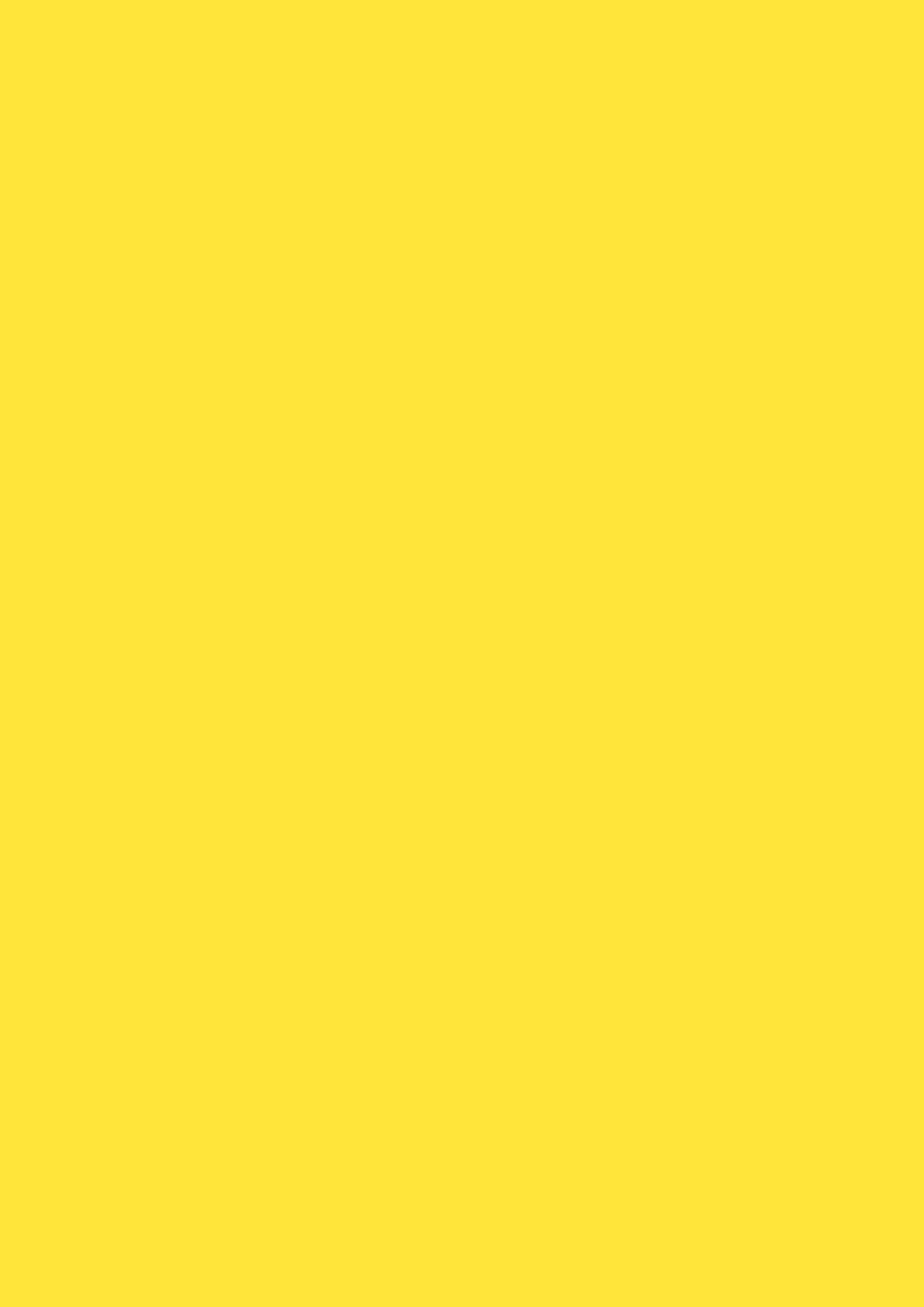 229 Yellow (SUD/GLS) interior cladding design