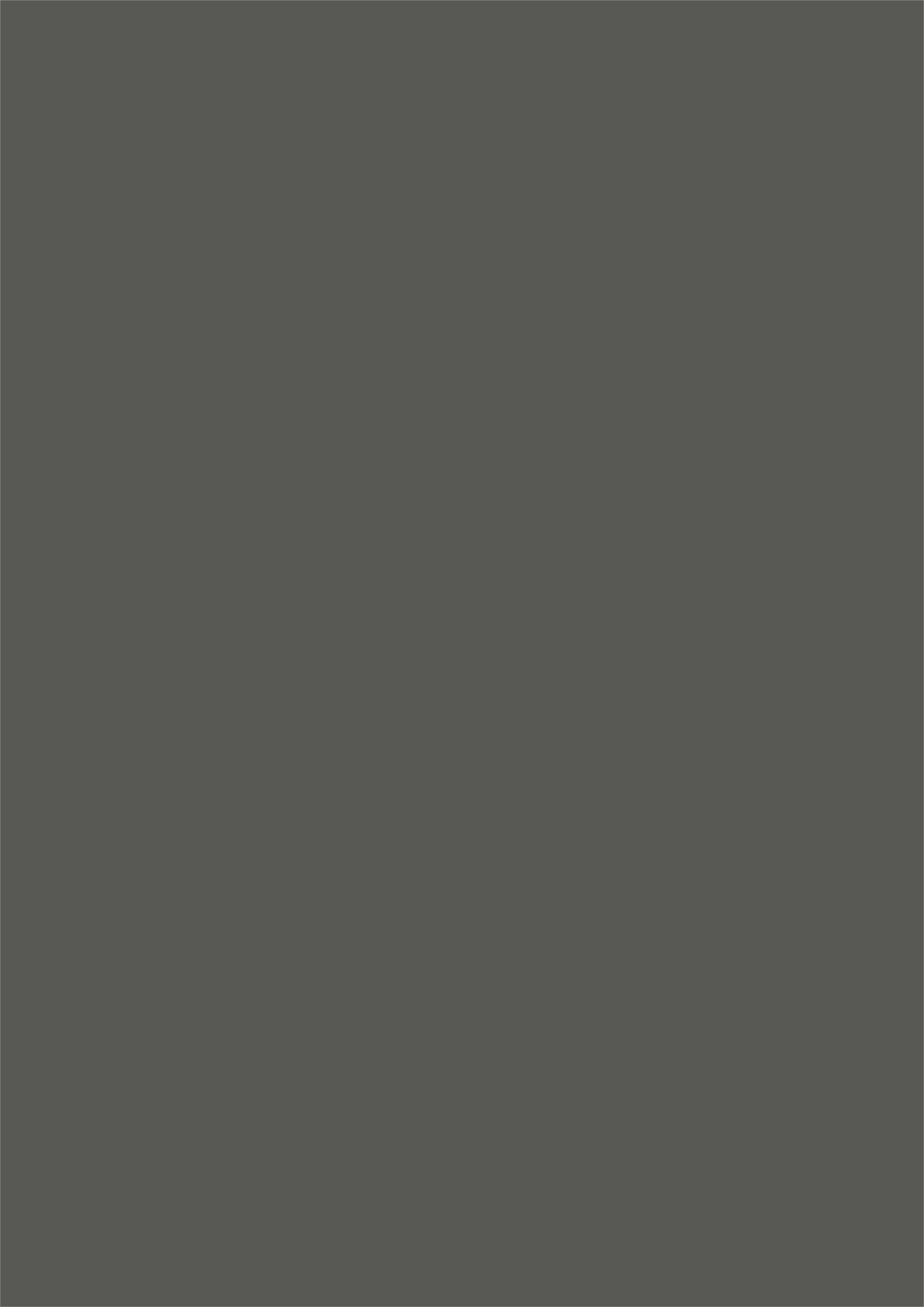 261 Dark Grey (SUD/GLS) interior wall cladding in India