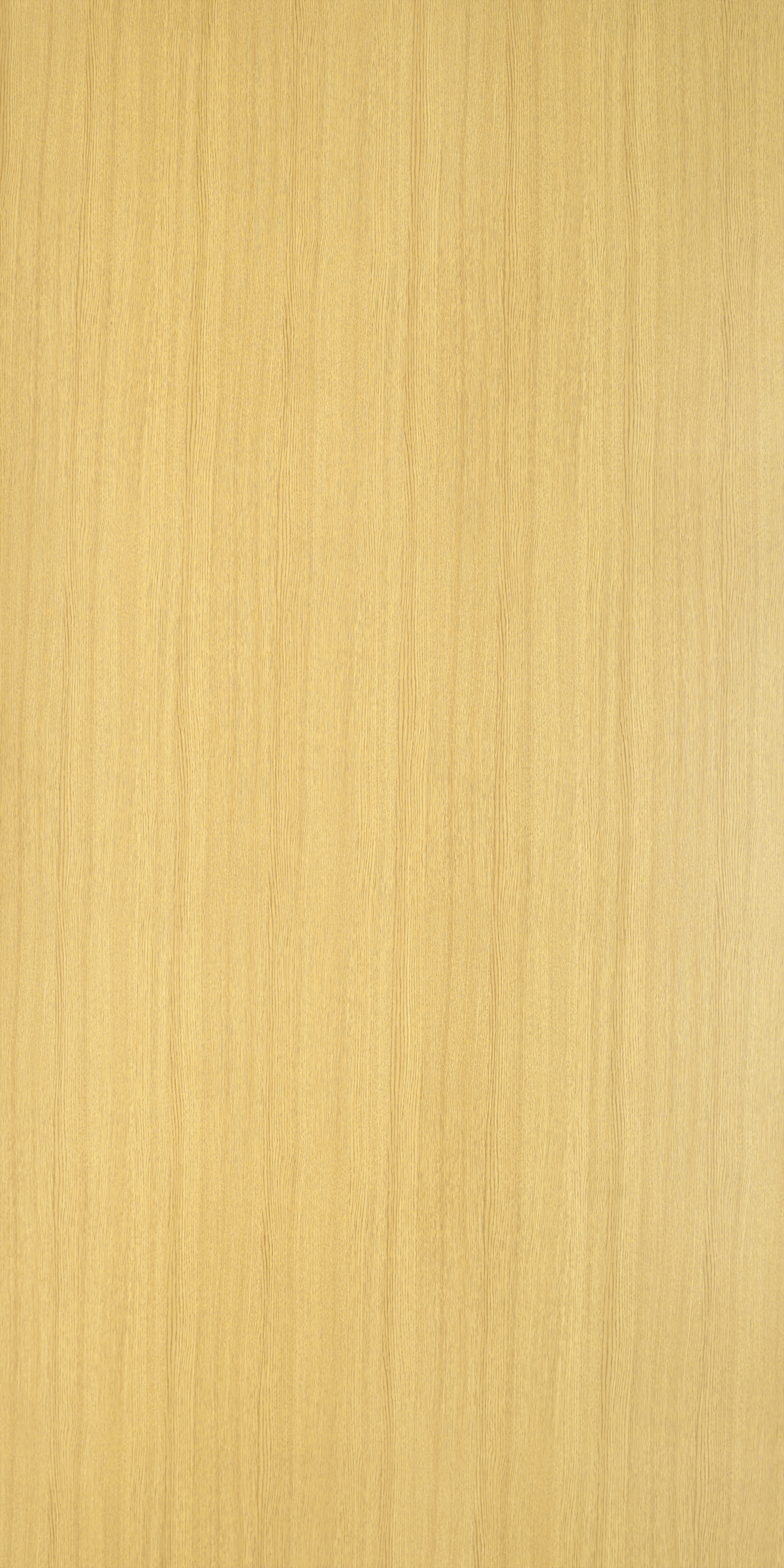 5049 Red Oak (SUD/GLS/VRB/SAT) interior wall cladding in India