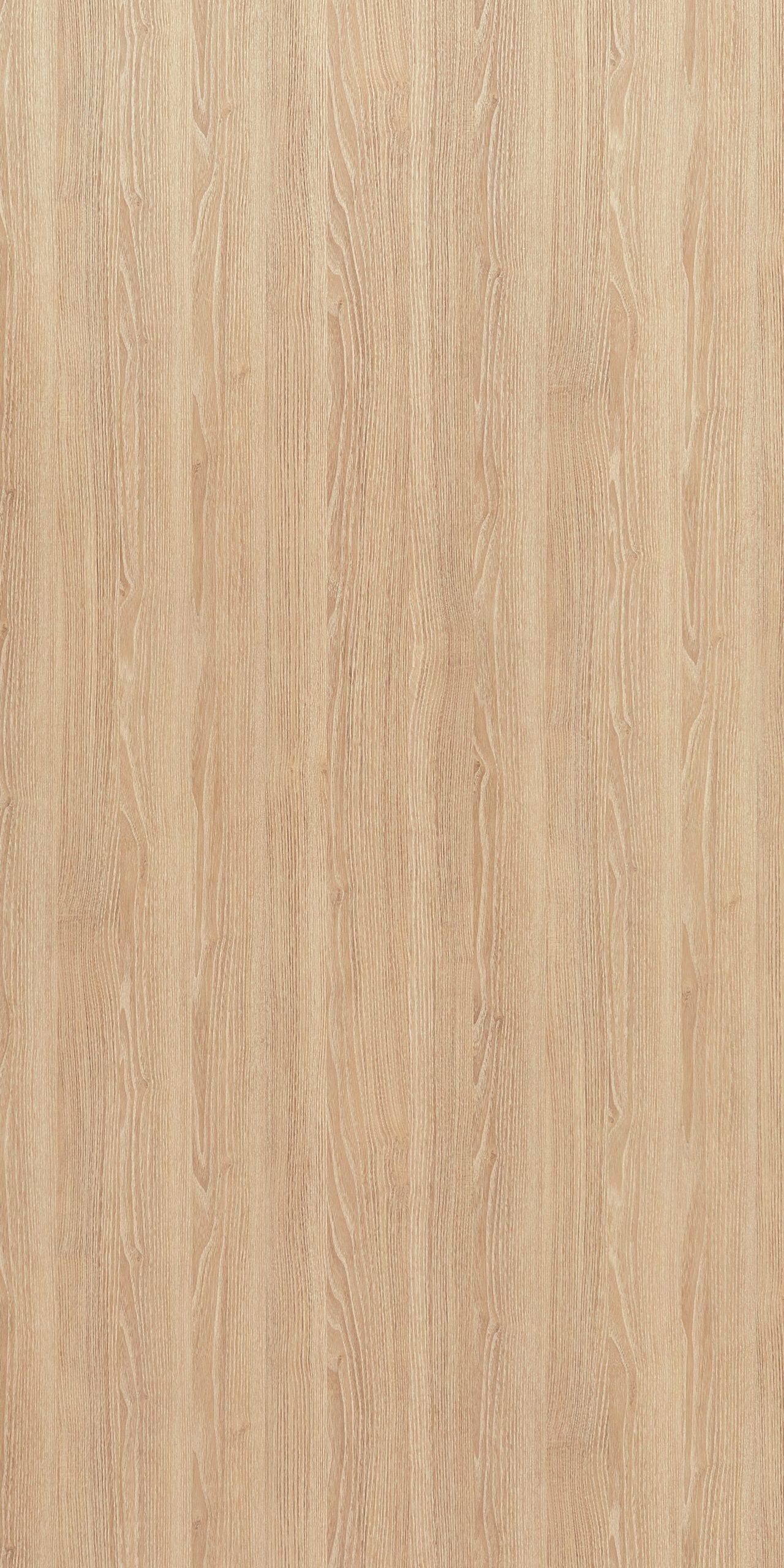 5427 Refresh Oak (SUD/GLS/VRB/SAT) interior wall cladding in India